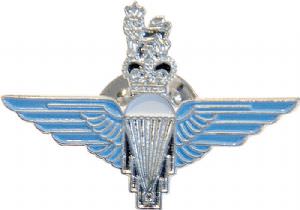 Para Badge (click for enlarged image)